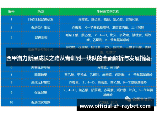 西甲潜力新星成长之路从青训到一线队的全面解析与发展指南 西甲潜力新星成长之路从青训到一线队的全面解析与发展指南