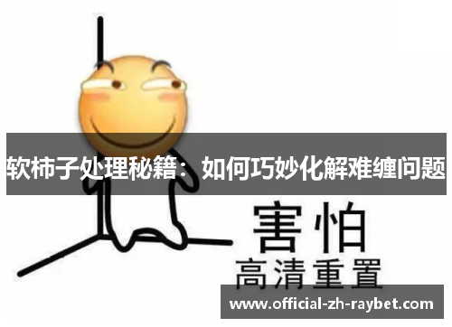 软柿子处理秘籍：如何巧妙化解难缠问题