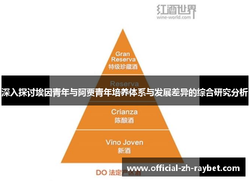 深入探讨埃因青年与阿贾青年培养体系与发展差异的综合研究分析