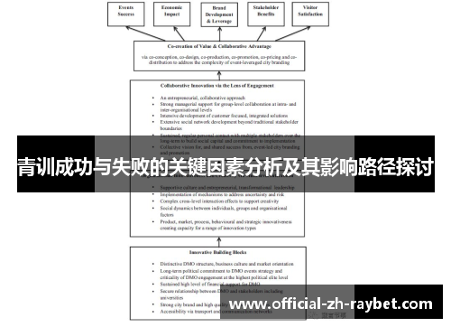 青训成功与失败的关键因素分析及其影响路径探讨