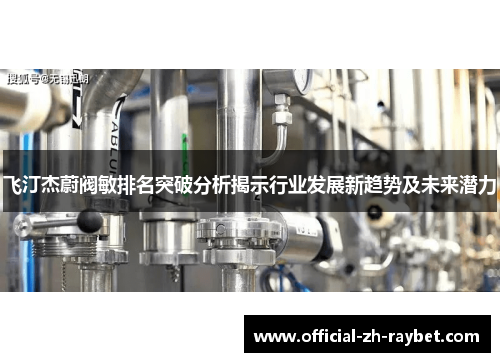 飞汀杰蔚阀敏排名突破分析揭示行业发展新趋势及未来潜力