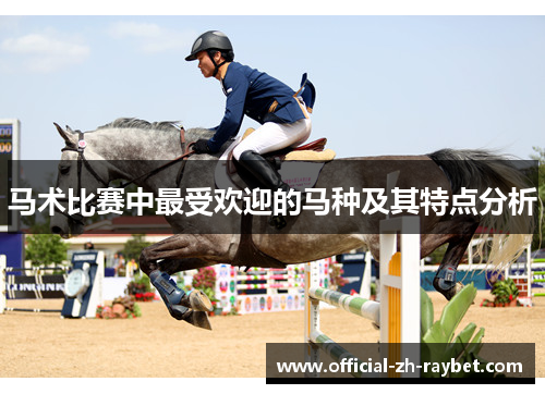马术比赛中最受欢迎的马种及其特点分析